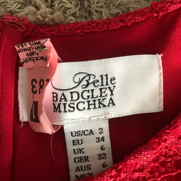 Badgley Mischka Lace Dress 💗💓💝 - Picture 7 of 8